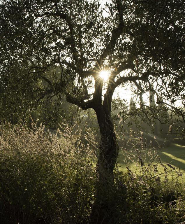 Tenuta Santo Pietro Pienza Exteriör bild
